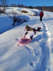 IMG_20260120_140743324.jpg