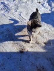 IMG_20260121_114535325.jpg